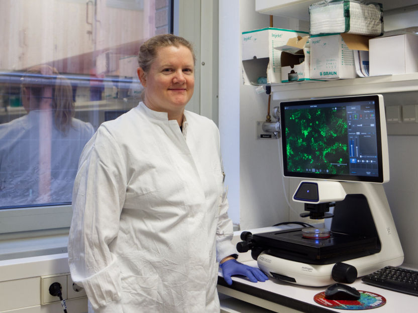 Ein großer Schritt in der HCV-Forschung - Forschungsteam aus Hannover adaptiert das Hepatitis-C-Virus, um Mausleberzellen zu infizieren