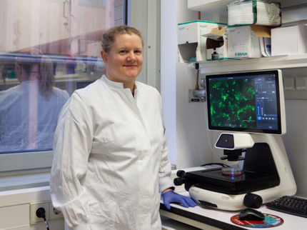 A major step for HCV research
