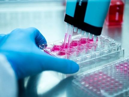 A novel approach for efficient antibody development