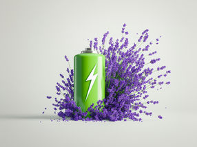 Poder de las flores: aceite de lavanda para pilas de sodio-azufre más duraderas