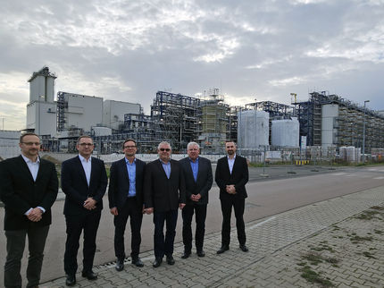 Innovatives Verfahren verwandelt Holz in Biochemikalien