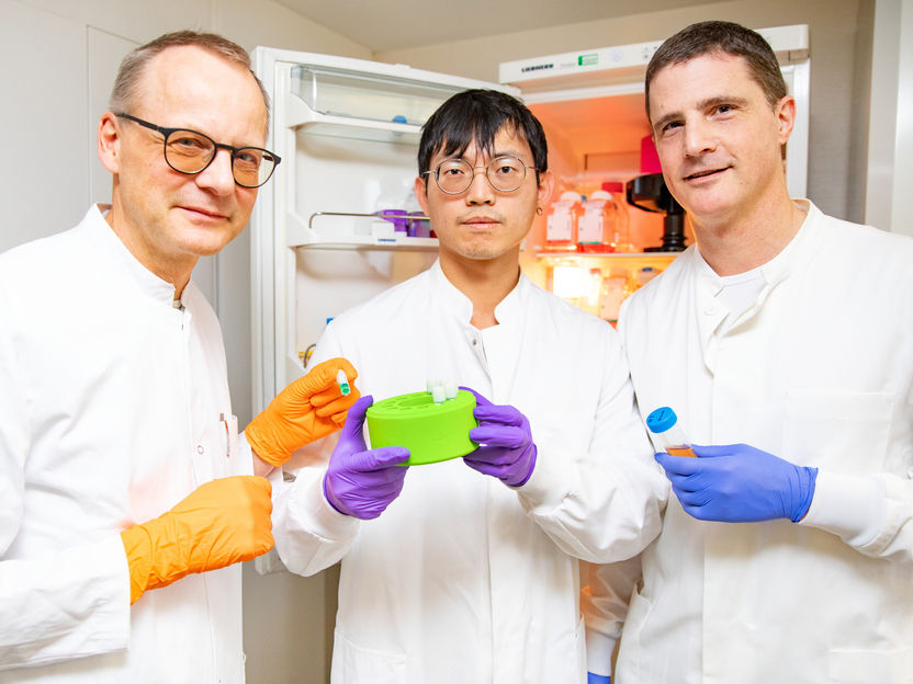 Hepatitis D: Cuando el sistema inmunitario se descontrola - Los investigadores han identificado un marcador en las células asesinas naturales que influye en la eficacia antiinflamatoria del fármaco bulevirtida