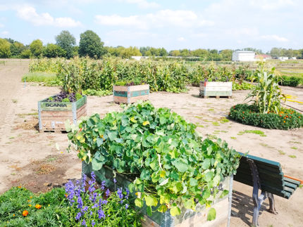 Nachhaltiger Dünger aus Urin