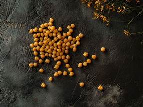 Chickpea in danger!