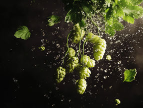 Mehr als die Seele eines Biere
