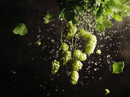 More than the soul of a beer