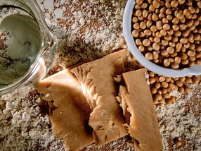 Green food revolution