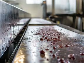 Lebensmittelsicherheit: Biofilme verbessern das Überleben von Listerien