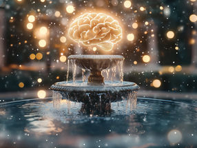 A molecular fountain of youth for the brain
