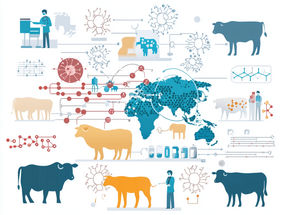 Tackling global food safety crises