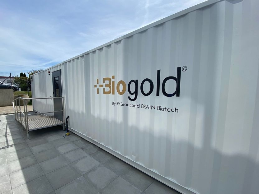 Pepitas de biooro de la basura local - Reciclaje biológico del oro: BRAIN Biotech AG coopera con el Grupo PX en el marco de la "Iniciativa de Minería Urbana de PX"