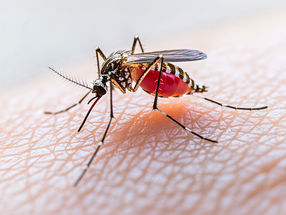 Epigenetic inhibitors as a promising new antimalarial intervention strategy?