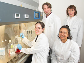 Potential target for MS therapy discovered