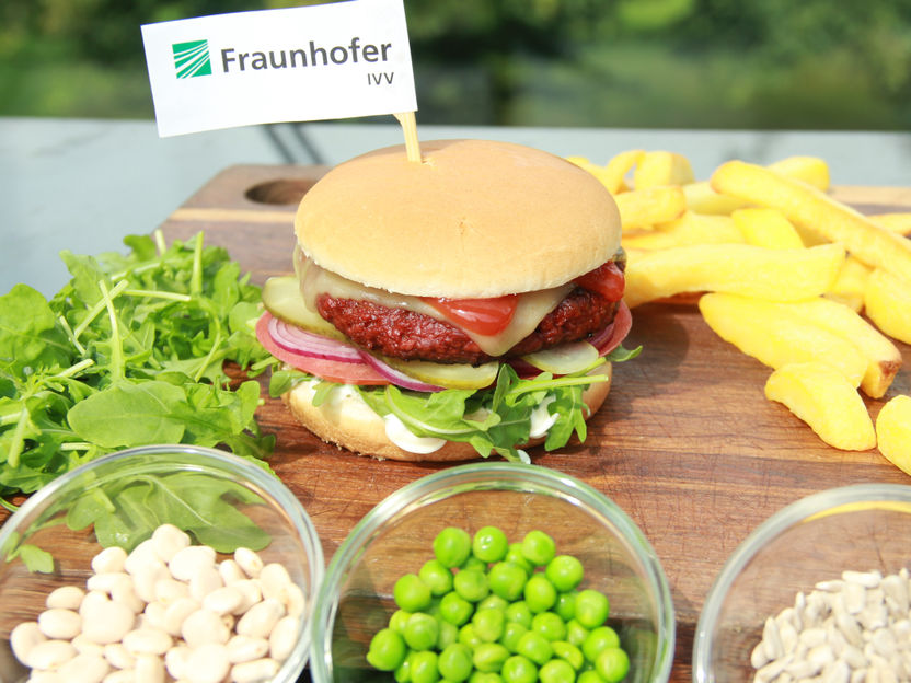 Fraunhofer Institute for Process Engineering and Packaging IVV