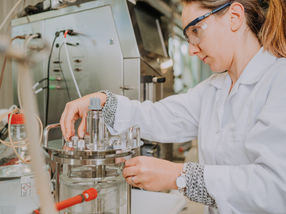 High value, zero waste: Researchers conceptualise novel biorefinery