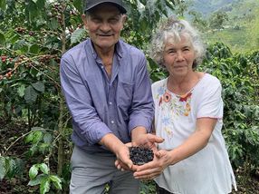 Volcafe and Cotierra partner to generate carbon credits from biochar within coffee value chains