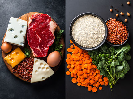 Quase 90% dos adultos nos EUA acreditam erradamente que é importante comer produtos de origem animal para obter proteínas suficientes