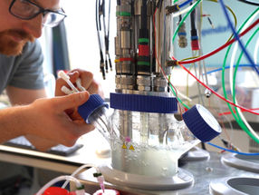 Synthetic Carbon Assimilation Surpasses Nature