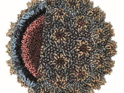 Erster Schnappschuss eines Retrotransposons in Aktion
