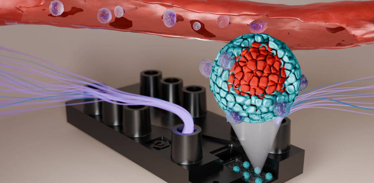 Reproduced from Deipenbrock 2025 et al. with permission of the Royal Society of Chemistry