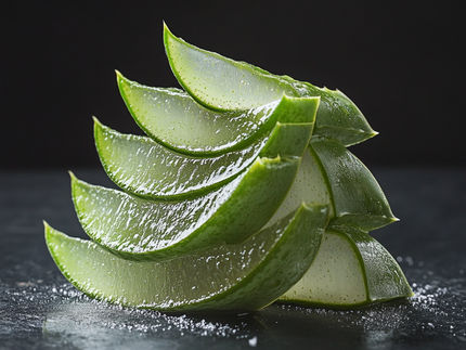 Die neue Geheimzutat von kultiviertem Fleisch: Aloe vera