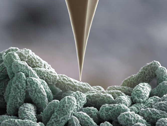 University of Basel, Biozentrum/SNI Nano Imaging Lab