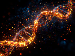 Extreme Mutation Hotspot in Bacteria Discovered: Study Links High Mutation Rates to Transcriptional Activation