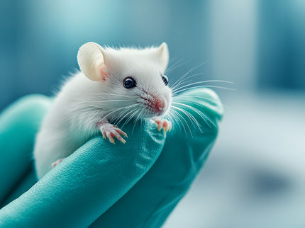 Efficient Development of Drugs with Fewer Mice