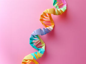 RNA Origami: Artificial Cytoskeletons to Build Synthetic Cells
