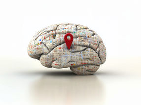 Groundbreaking AI tool generates 3D map of the brain