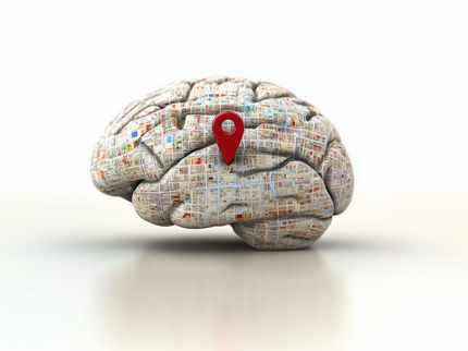 Un outil d'IA révolutionnaire génère une carte en 3D du cerveau