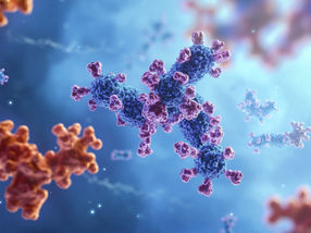 Decoys for Misguided Antibodies Restore Antiviral Immune Defense