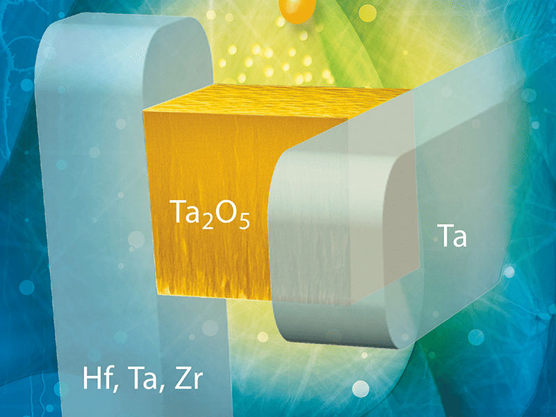 Copyright: Chen, S., Yang, Z., Hartmann, H. et al.