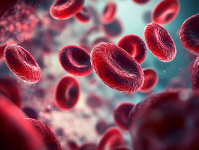 Nursery of the Blood: How Stem Cells Calm the Body’s Immune Response