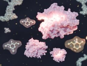 Une nouvelle chimie verte extrait des composés précieux des déchets végétaux