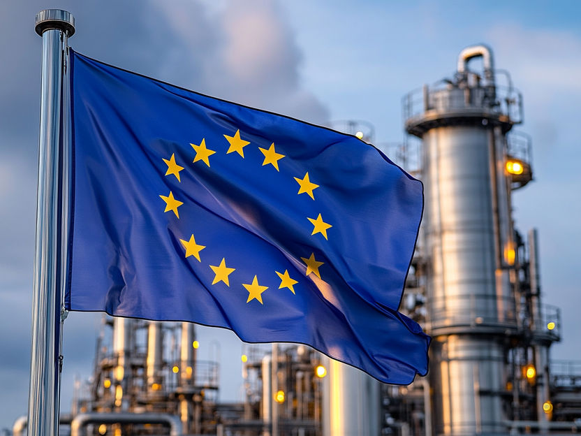 Las empresas químicas europeas, pesimistas para 2025: la recuperación no es previsible hasta 2026 - La transformación ecológica sigue siendo una de las principales prioridades de gestión, junto con la digitalización y la IA