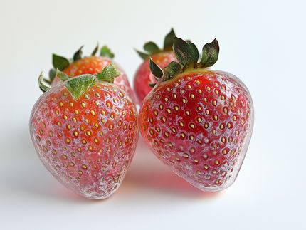 Un biofilm comestible à base d'extrait de peau de grenade prolonge la durée de conservation des fraises