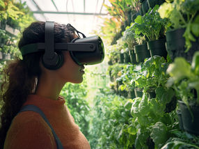 Extended reality to help produce eco-friendlier food