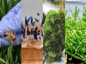 food4future enters second funding phase