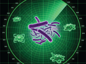 Schutzradar für Bakterien