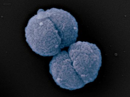 Neue Antibiotika gegen Problemkeime