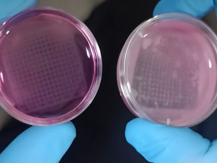 Printed Skin to Replace Animal Testing