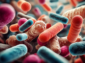 New vaccine concept tackles harmful bacteria in the intestine