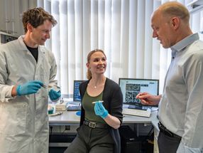 Nanotechnologie: DNA-Origami verbessert die Empfindlichkeit von Schnelltests