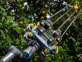A new robotic gripper made of measuring tape is sizing up fruit and veggie picking