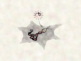 Ingeniería inteligente para editores de genes