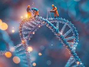 Cómo reparan las células humanas el ADN dañado