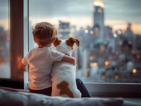 The positive effect of paws