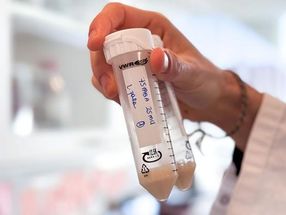 Lactic acid bacteria can improve plant-based dairy alternatives