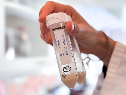 Milchsäurebakterien können pflanzliche Molkereialternativen verbessern